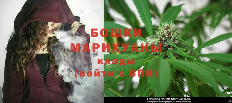 купить наркотики сайты  Ардатов  Канабис SATIVA & INDICA 